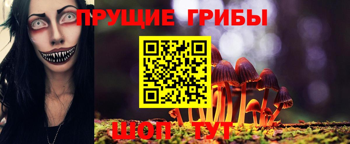 Дзержинск  Галлюциногенные грибы мухоморы  Вход с VPN 